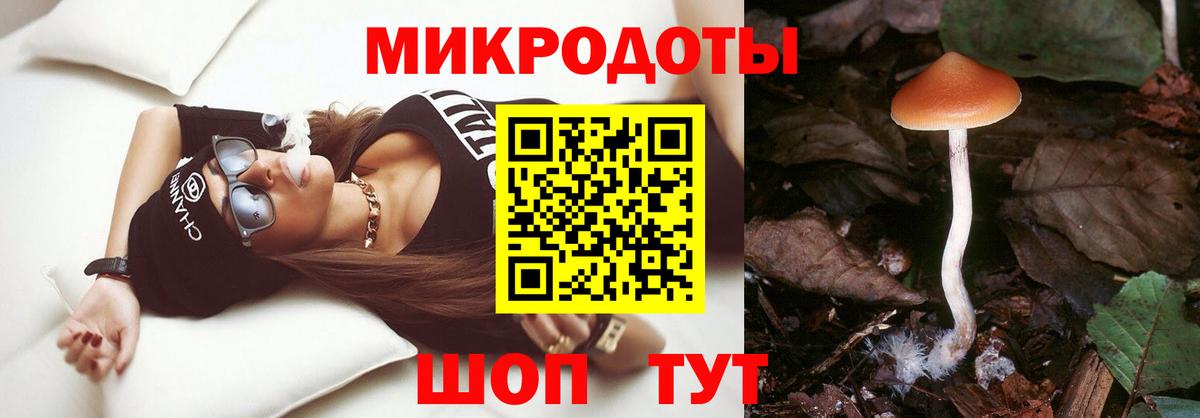 Воронеж  Галлюциногенные грибы GOLDEN TEACHER  магазин  наркотиков  Вход с VPN  Псилоцибиновые грибы мухоморы 